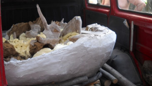 Еленови рога в култ към слънцето