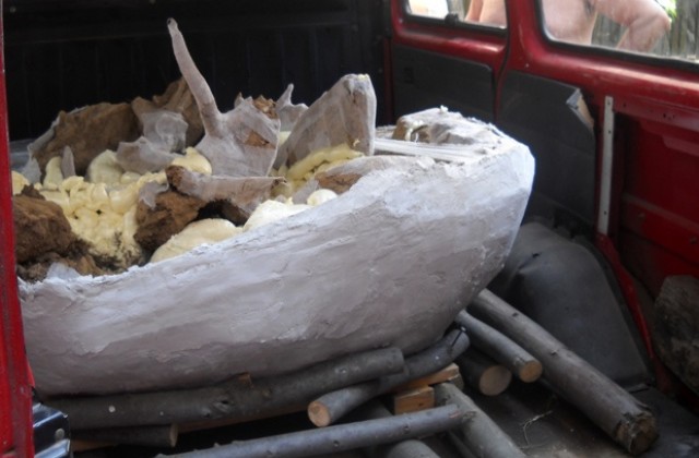 Еленови рога в култ към слънцето