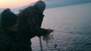 40 килограма незаконно уловена риба е върната във водите на
