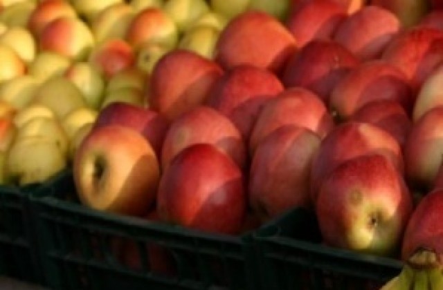 Празник на ябълката в с. Екзарх Йосиф