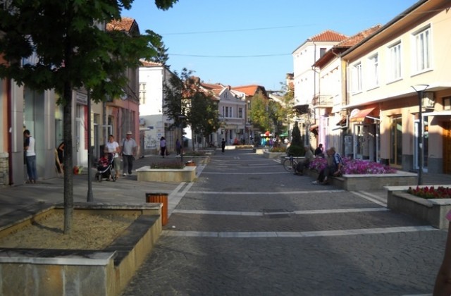 Нов приют за безстопанствени кучета откриват в началото на септември в Севлиево