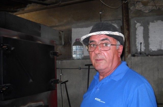 Пилета или прасета - съветът на един фермер