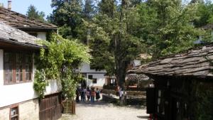 Международен пленер по живопис Боженци 2011