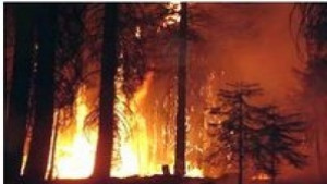 Горят няколкостотин декара край Белоградчик