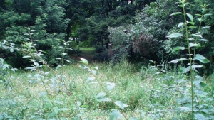 Ще пръскат срещу комари от 2 до 6 септември