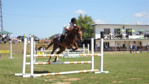 С турнир по конен спорт започна събора в с Трем