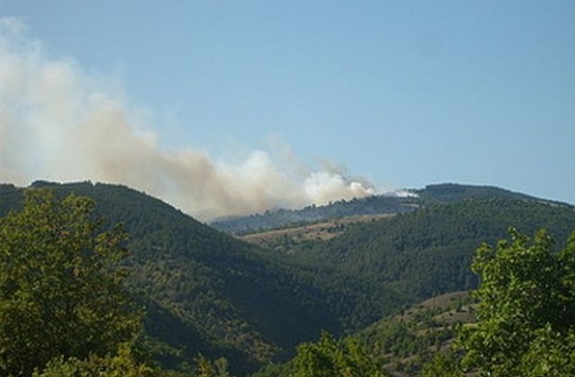Угасен е пожарът край кюстендилското село Фролош