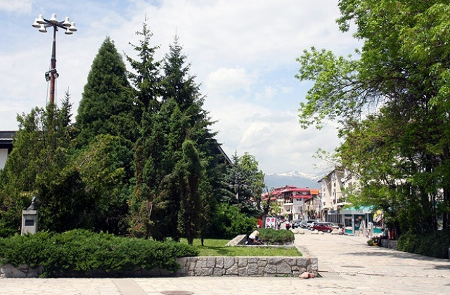 Купа Банско 2011