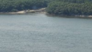 Нивото на Дунав е критично ниско