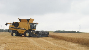 Фирма плати 63 000 лева за несъществуващо жито