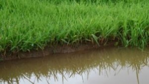 Екоинспекторите глобиха фирми за замърсяване на въздуха и водата