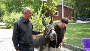 Издигат магаре за кмет на Варна