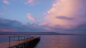 Безработни и ученици найчесто посягат на живота си във Варненско