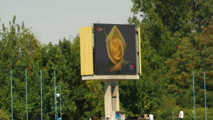 Операция спря шефа на гребането за европейското в Пловдив