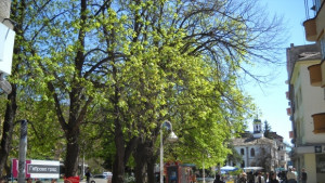 Изтича срокът на екоконкурс за ученици