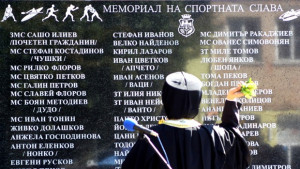 Уважиха заслужилите спортисти във Видин