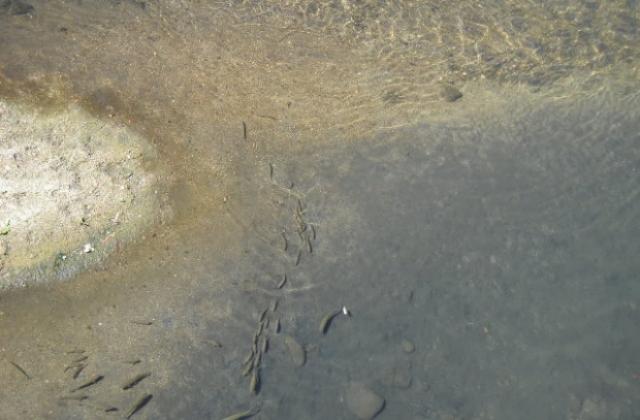 Част от Габрово без вода