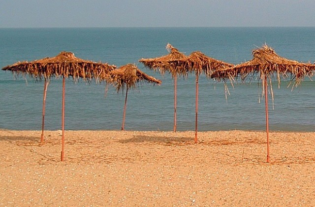 16 художници рисуват с Дарик край морето