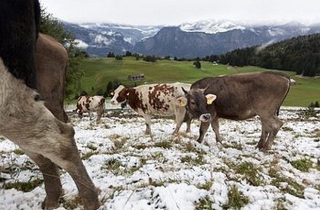 В Швейцария падна сняг