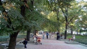 Община Свищов включена в проект срещу домашното насилие