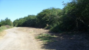 Торовите отпадъци в района на село Здравковец са почистени