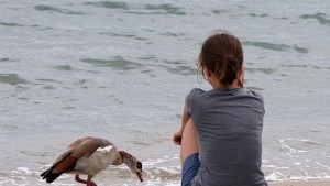 Световни психолози разкриват край Варна необичайните състояния на съзнанието