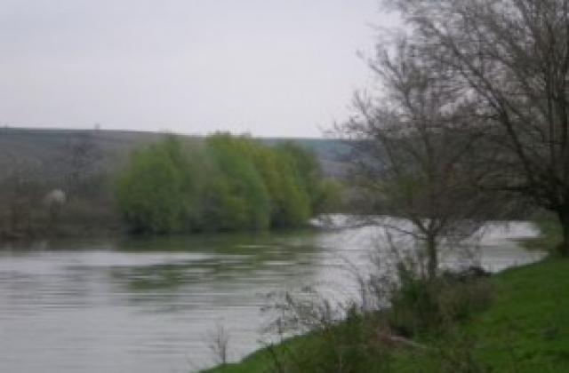 РИОСВ: Незаконен улов е причина за мъртвата риба в Янтра