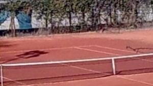 Нови изяви за ТК Габрово