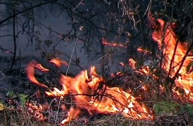 Изгоряха сухи треви и фургон с люцерна