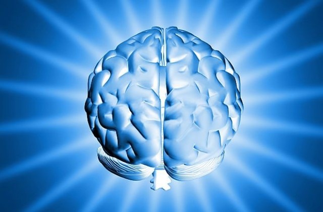 При спортуването заяква и мозъкът