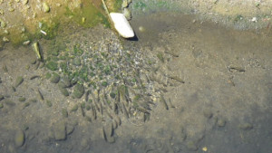 Нов воден режим за селата водоснабдявани от Бяла ООД Севлиево