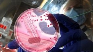 Откритие бележи стъпка напред по пътя към лечение на диабет