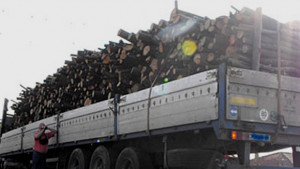 Над 7700 искат държавата да ги грее