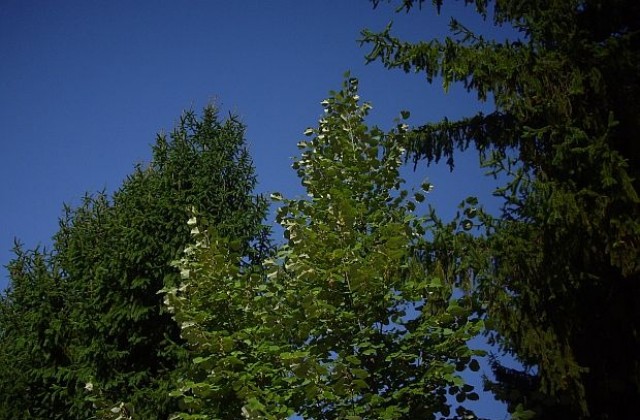 Остава слънчево