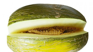 Няма внос на пъпеши от САЩ в България