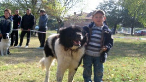 Шеста Национална киноложка изложба