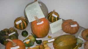 Оркестър Канарите и Деси Добрева ще пеят по време на