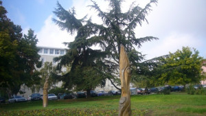 Показват 97 творби на Есенния салон в Стара Загора