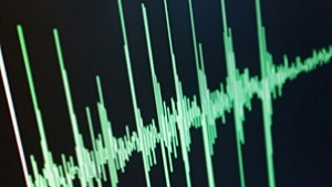 48 по Рихтер разлюля Вранча трусът е усетен слабо и