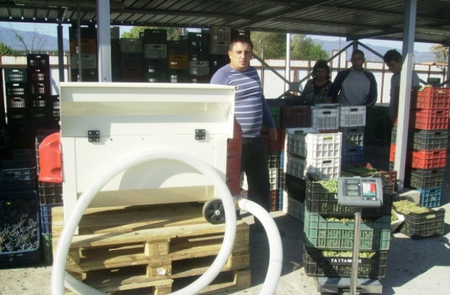 Започна търговията с грозде в Кюстендил