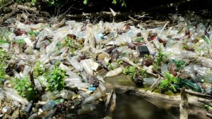 Акция за почистване на река Русенски Лом