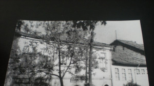 Триметрово родословно дърво ще подарят на Дилма Русеф