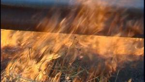 Седем пожара горяха едновременно във Варна и региона