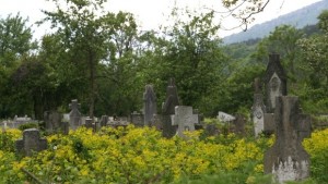 Вкараха в ареста двама осквернили гробове