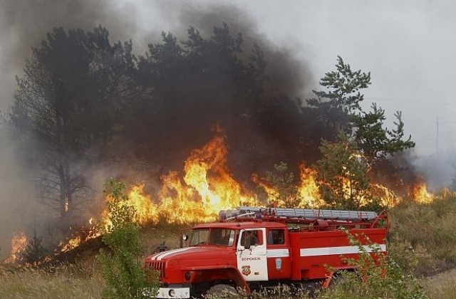 Пожарникари се борят с огнена стихия край Драгоман