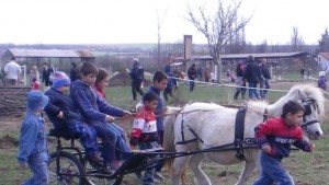 Децата срещат своите нови приятели конете