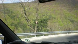 78 шофьори са глобени за превишена скорост