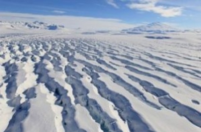 Откриха вкаменелости от кит на 49 милиона години