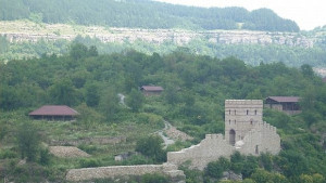 Ракия ли е ракинята