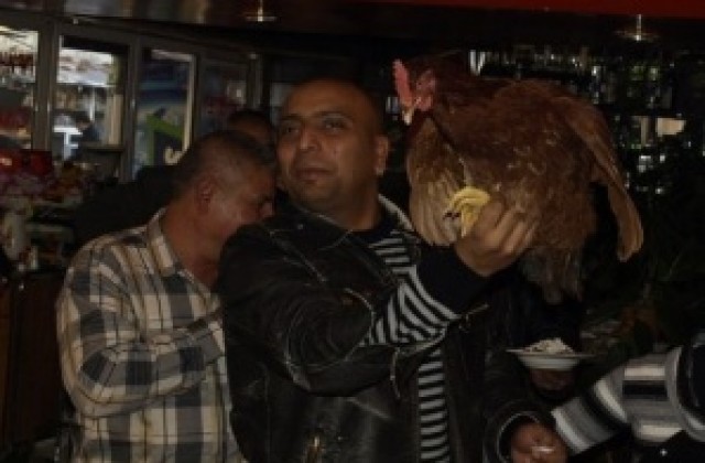 Кокошки за гласове във Ветрен